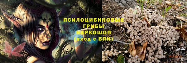 mix Лабытнанги