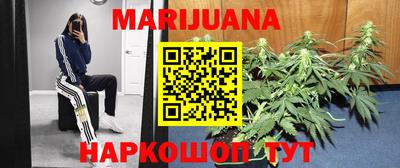 Альфа ПВП Новозыбков