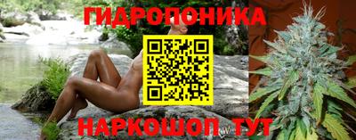 Альфа ПВП Новозыбков