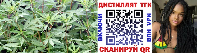 KRAKEN ONION  Лиски  ТГК вейп 