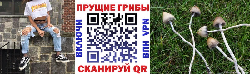 Галлюциногенные грибы MAGIC MUSHROOMS  Лиски 