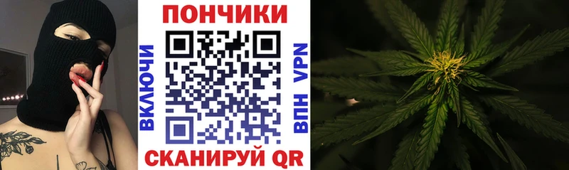 shop какой сайт  гидра ССЫЛКА  Лиски  Марихуана THC 21% 